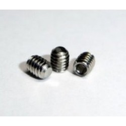 Grub screws mini M2X2 (X10)