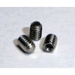 Grub Screws M2,5X3 (X10)