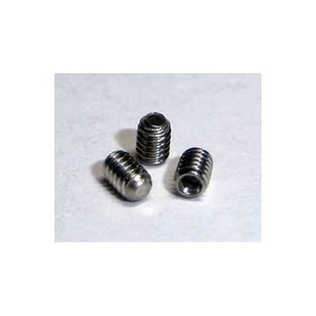 Grub Screws M2,5X3 (X10)