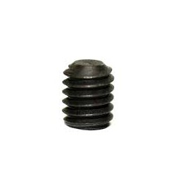 Allen screw M2 x 6mm
