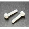 M2 x 12 NYLON Phillips screw