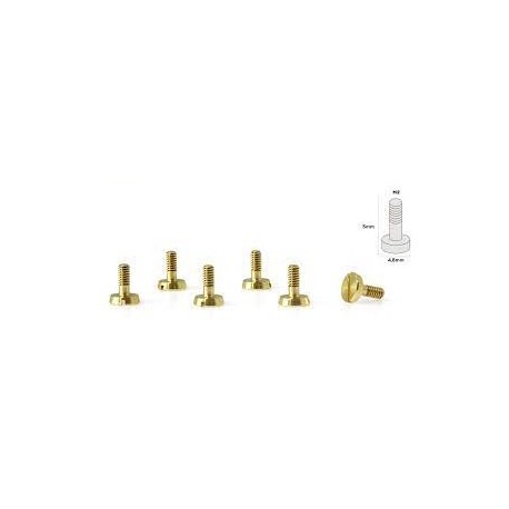 Special Conical Head Suspension Screws 4.8mm M2x5mm in Brass.