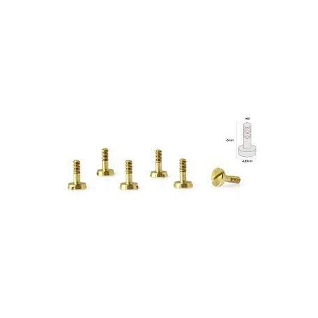 Special Conical Head Suspension Screws 4.8mm M2x6mm in Brass