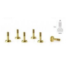 Special Conical Head Suspension Screws 4.8mm M2x7mm in Brass.