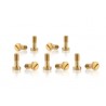 Metric Screws M2.5x6mm for Carrera