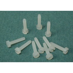 Nylon slotted screw M2x10mm. Flat head (for chassis)
